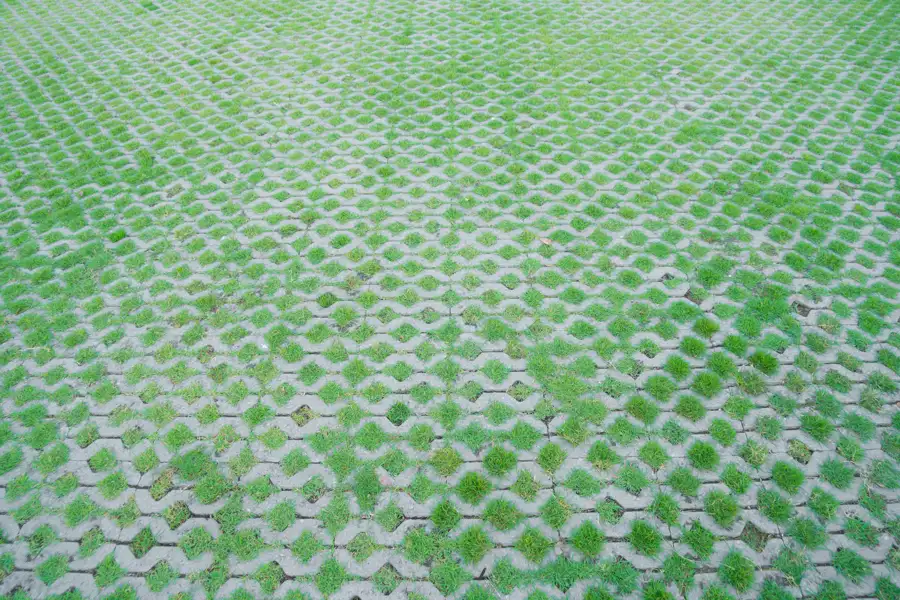 Common Mistakes to Avoid During Paver Installation Projects Caldwell, NJ